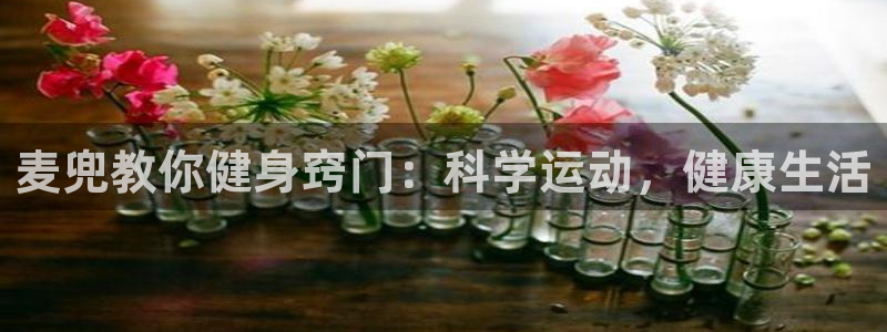 QY球友会体育官网